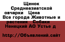 Щенок Среднеазиатской овчарки › Цена ­ 35 000 - Все города Животные и растения » Собаки   . Ненецкий АО,Устье д.